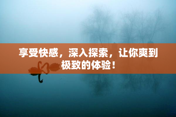 享受快感，深入探索，让你爽到极致的体验！