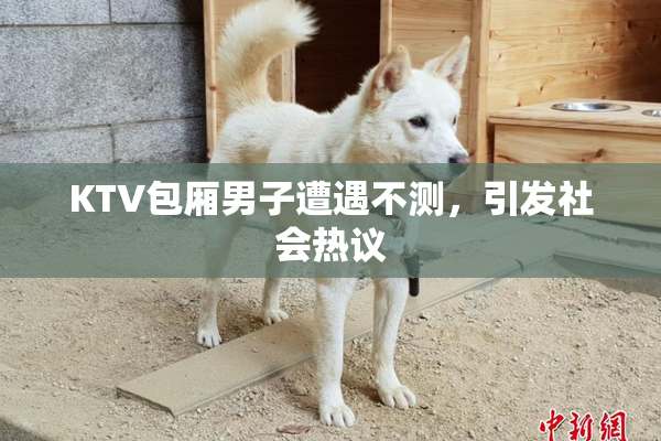 KTV包厢男子遭遇不测，引发社会热议