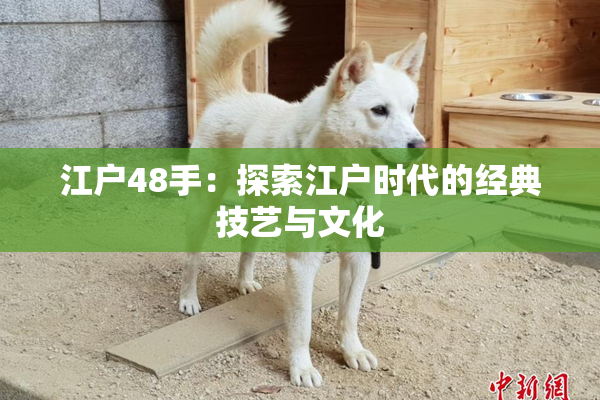 江户48手：探索江户时代的经典技艺与文化