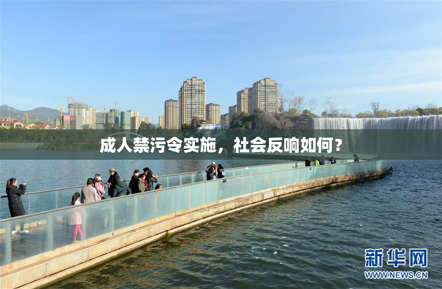 成人禁污令实施，社会反响如何？