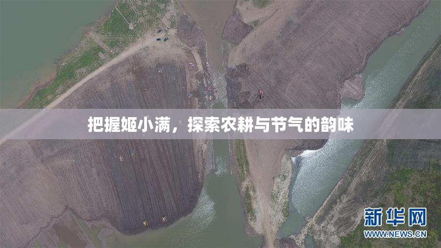 把握姬小满，探索农耕与节气的韵味