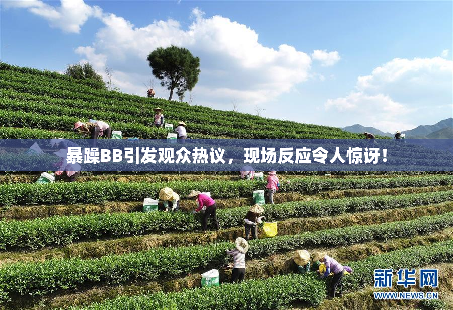 暴躁BB引发观众热议，现场反应令人惊讶！