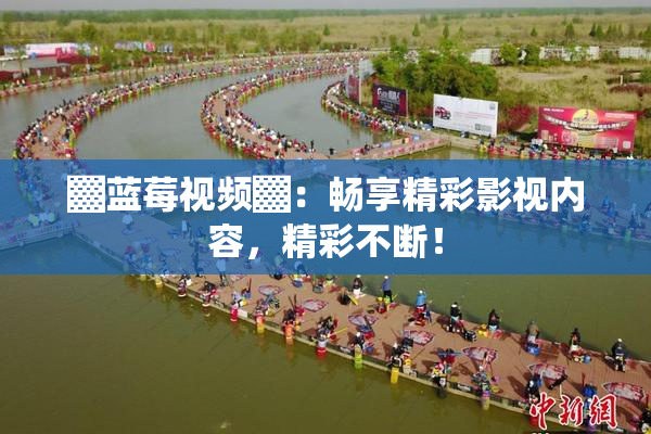 ▓蓝莓视频▓：畅享精彩影视内容，精彩不断！