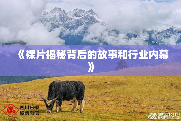 《裸片揭秘背后的故事和行业内幕》