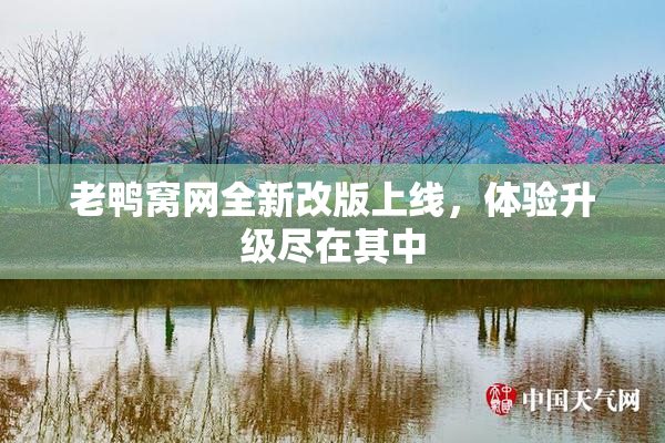 老鸭窝网全新改版上线，体验升级尽在其中