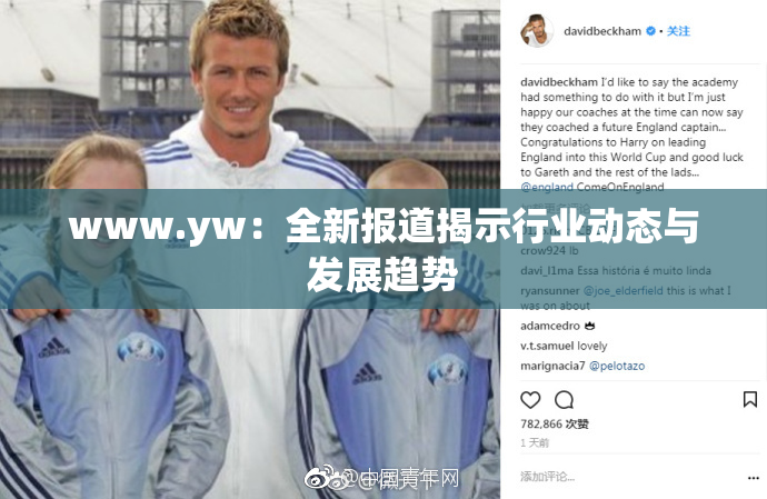 www.yw：全新报道揭示行业动态与发展趋势
