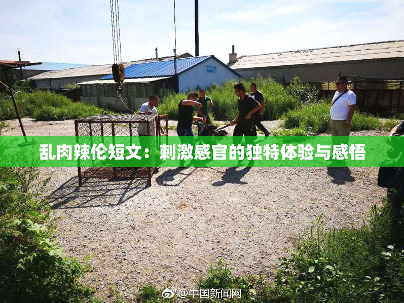 乱肉辣伦短文：刺激感官的独特体验与感悟