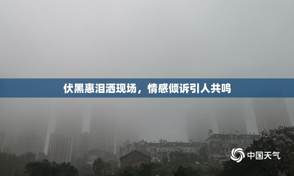 伏黑惠泪洒现场，情感倾诉引人共鸣