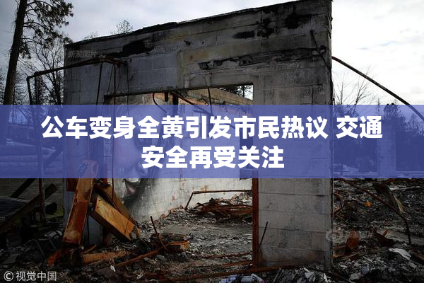 公车变身全黄引发市民热议 交通安全再受关注