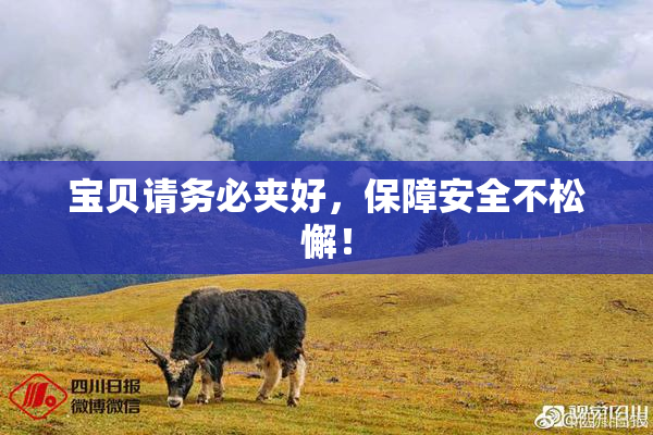 宝贝请务必夹好，保障安全不松懈！