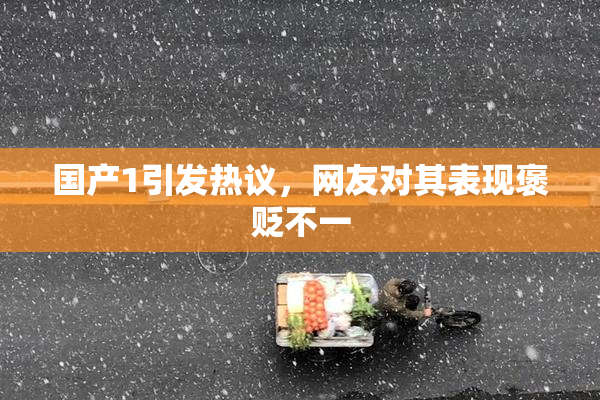 国产1引发热议，网友对其表现褒贬不一