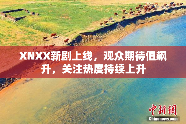 XNXX新剧上线，观众期待值飙升，关注热度持续上升