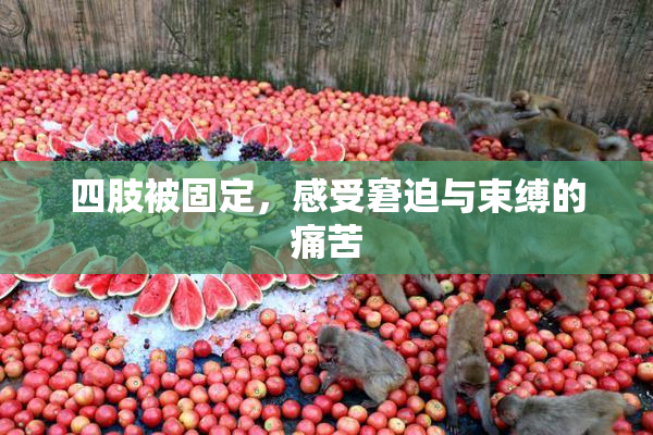四肢被固定，感受窘迫与束缚的痛苦