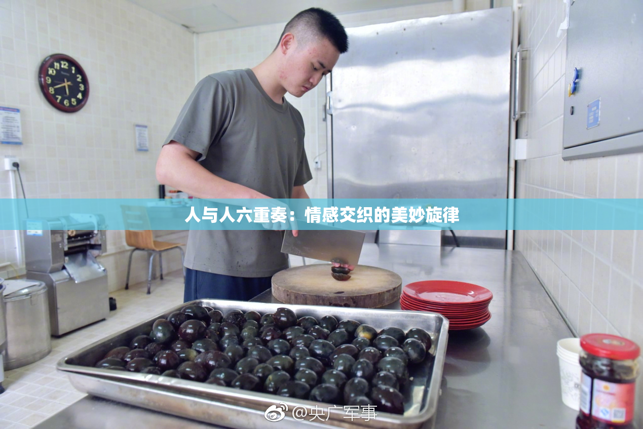 人与人六重奏：情感交织的美妙旋律