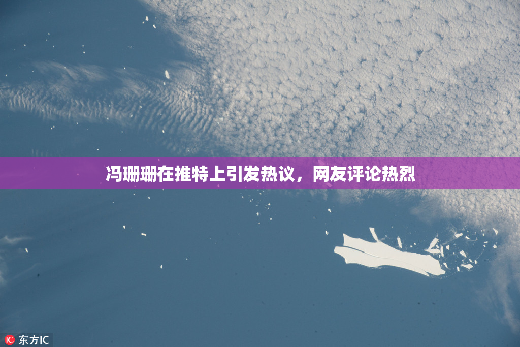 冯珊珊在推特上引发热议，网友评论热烈