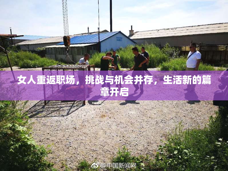 女人重返职场，挑战与机会并存，生活新的篇章开启