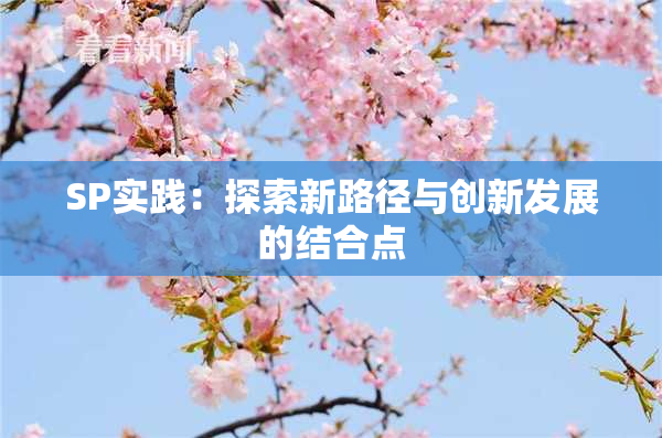 SP实践：探索新路径与创新发展的结合点