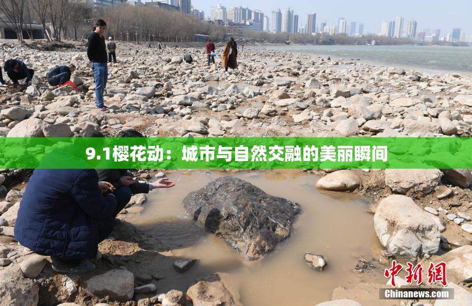 9.1樱花动：城市与自然交融的美丽瞬间