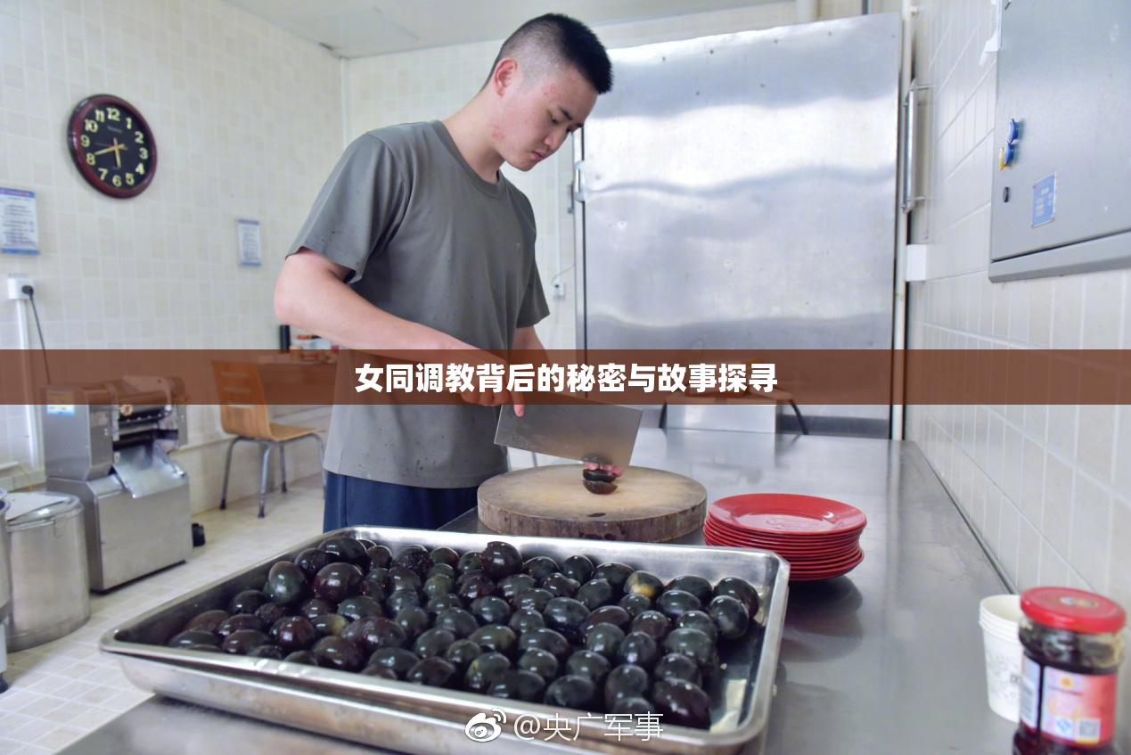 女同调教背后的秘密与故事探寻