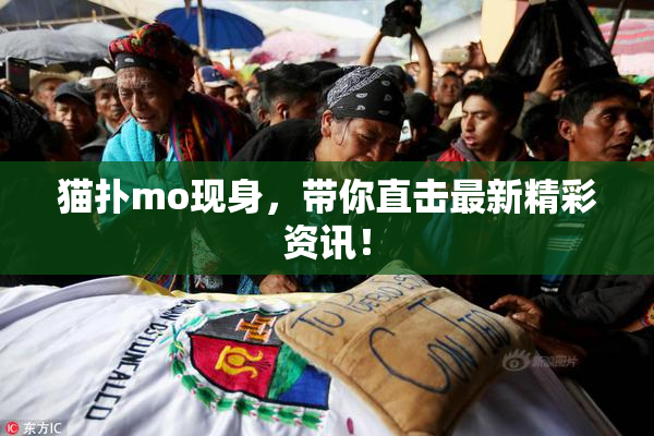 猫扑mo现身，带你直击最新精彩资讯！