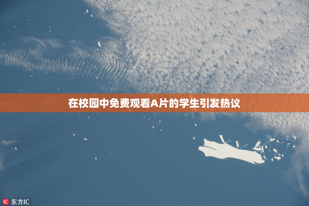 在校园中免费观看A片的学生引发热议