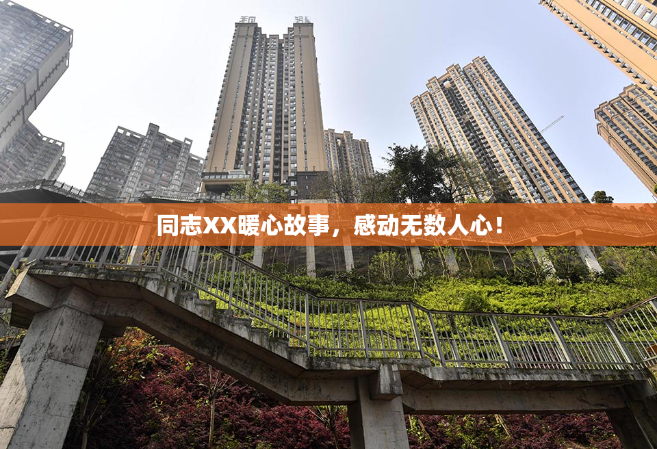 同志XX暖心故事，感动无数人心！