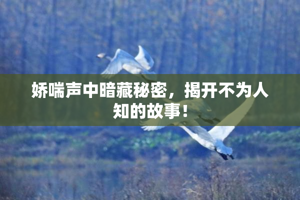 娇喘声中暗藏秘密，揭开不为人知的故事！