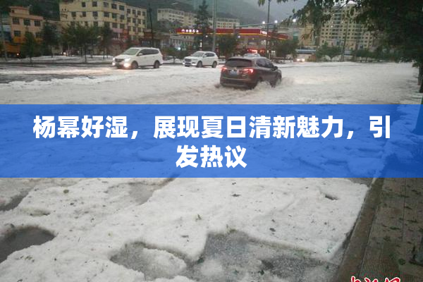 杨幂好湿，展现夏日清新魅力，引发热议