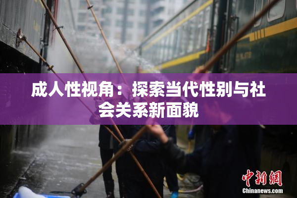 成人性视角：探索当代性别与社会关系新面貌