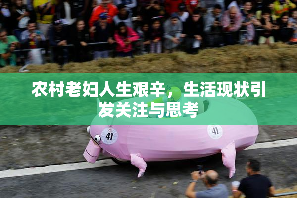 农村老妇人生艰辛，生活现状引发关注与思考
