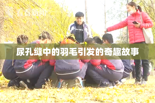 尿孔缝中的羽毛引发的奇趣故事