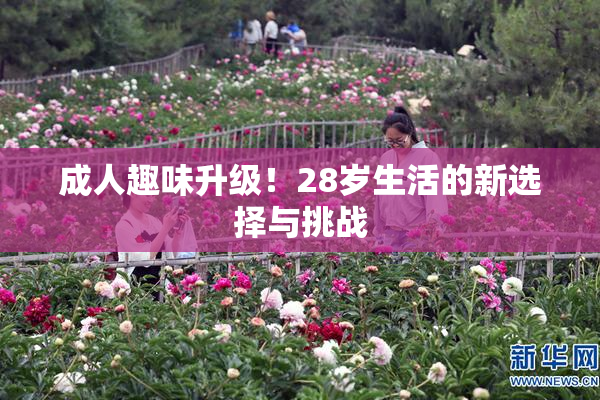 成人趣味升级！28岁生活的新选择与挑战