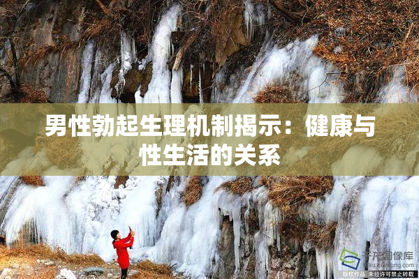 男性勃起生理机制揭示：健康与性生活的关系