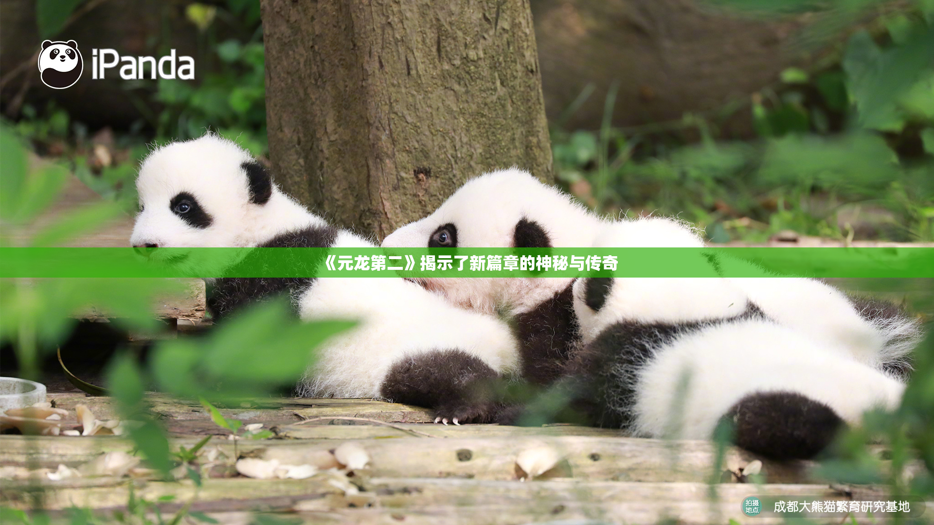 《元龙第二》揭示了新篇章的神秘与传奇