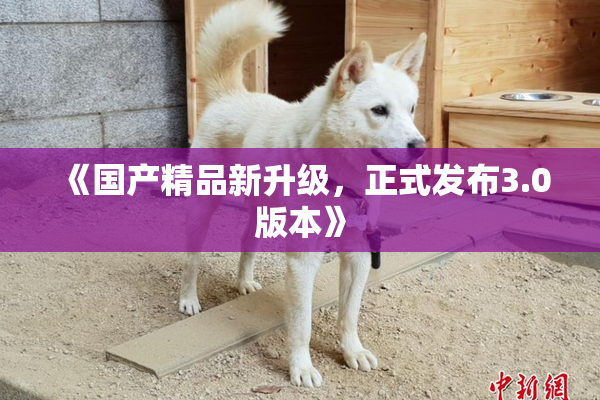 《国产精品新升级，正式发布3.0版本》