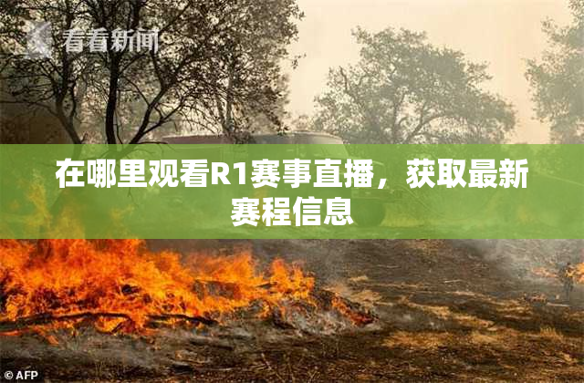在哪里观看R1赛事直播，获取最新赛程信息