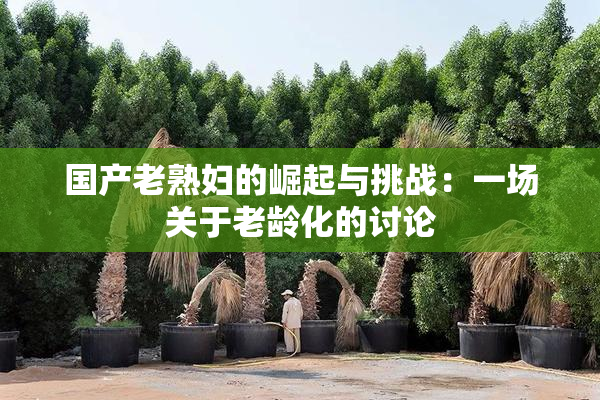 国产老熟妇的崛起与挑战：一场关于老龄化的讨论