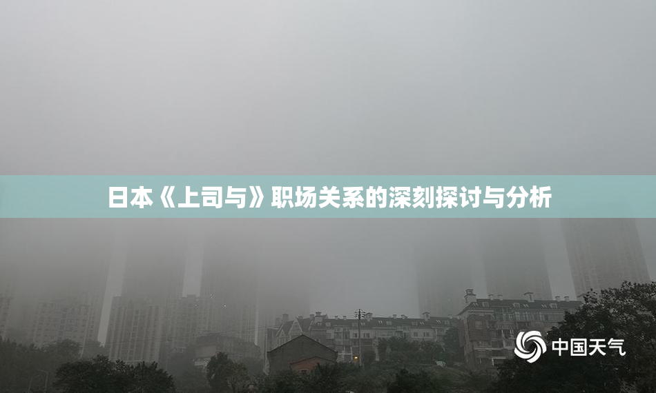 日本《上司与》职场关系的深刻探讨与分析