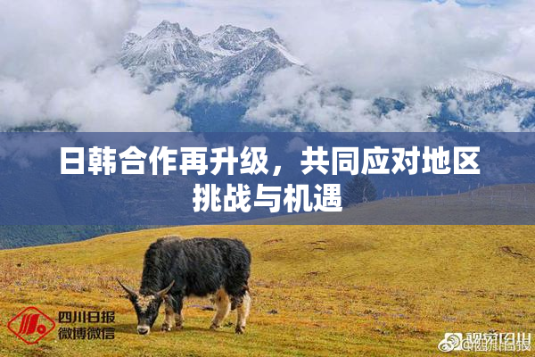 日韩合作再升级，共同应对地区挑战与机遇