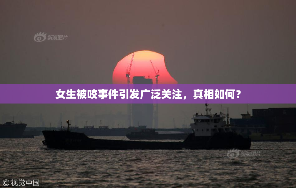 女生被咬事件引发广泛关注，真相如何？