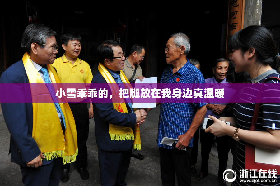 小雪乖乖的，把腿放在我身边真温暖
