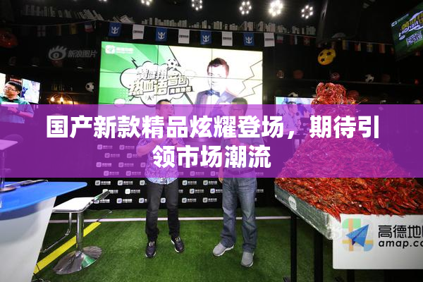国产新款精品炫耀登场，期待引领市场潮流