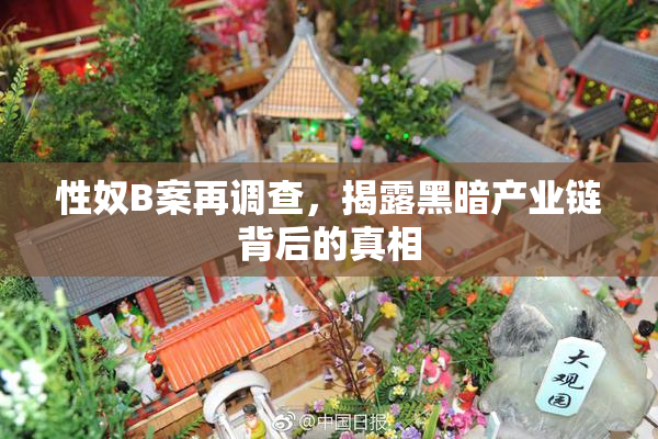 性奴B案再调查，揭露黑暗产业链背后的真相