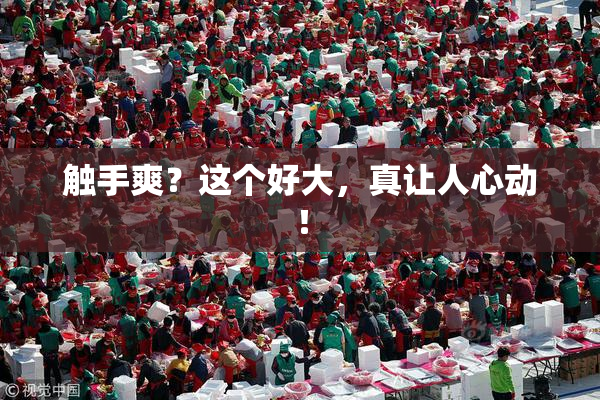 触手爽？这个好大，真让人心动！