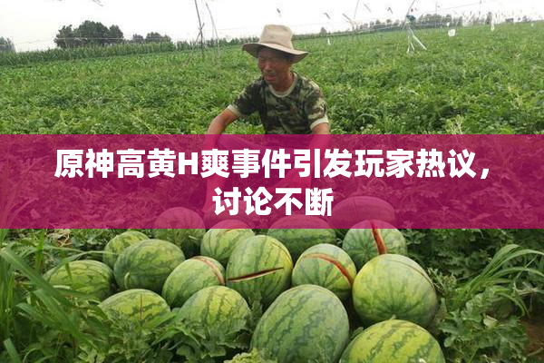 原神高黄H爽事件引发玩家热议，讨论不断
