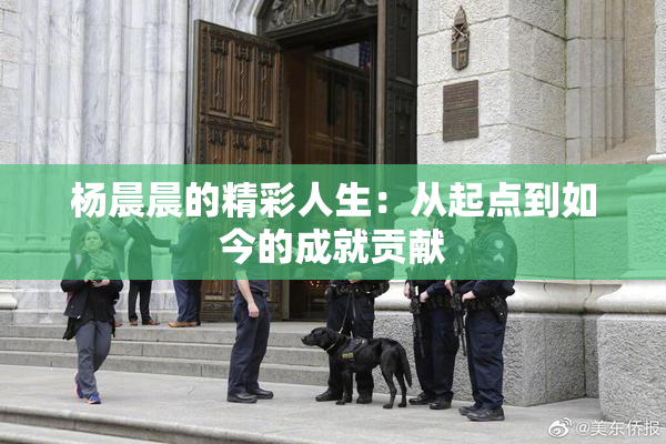 杨晨晨的精彩人生：从起点到如今的成就贡献