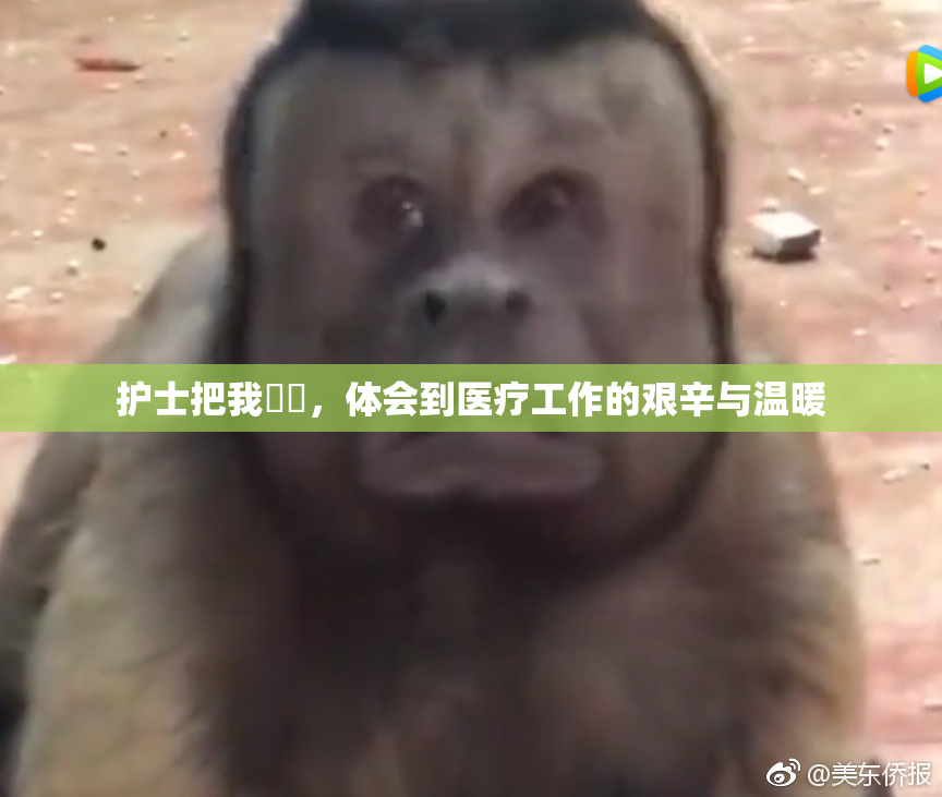 护士把我亅亅，体会到医疗工作的艰辛与温暖