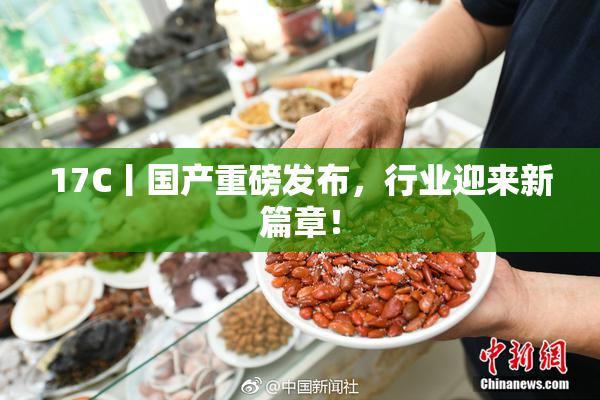 17C丨国产重磅发布，行业迎来新篇章！