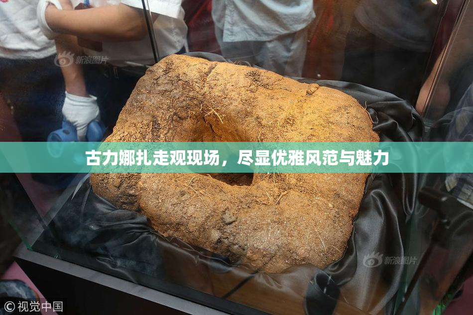 古力娜扎走观现场，尽显优雅风范与魅力