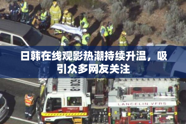 日韩在线观影热潮持续升温，吸引众多网友关注